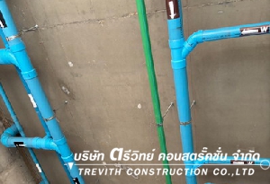  3 ҹҪҵ պ ҹѺҡҧ