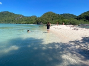 ʻմ  ȴ