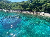 ʻմ  ȴ